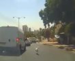 תיעוד קשה משכונה יא': משליכים כלב באמצע הכביש וממשיכים לנסוע (וידאו)