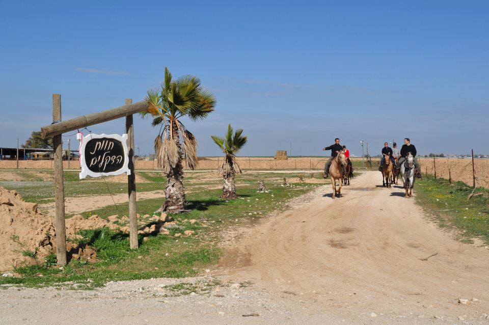 חוות הדקלים