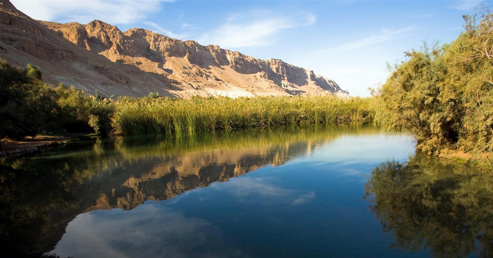 עינות צוקים. צילום: דורון ניסים