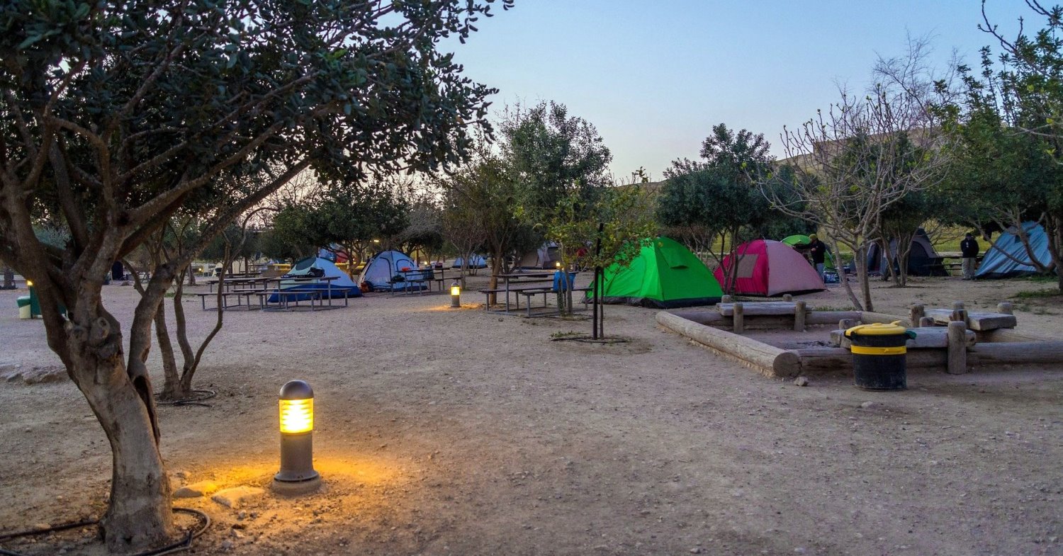 תל ערד. צילום: מנו גרינשפן