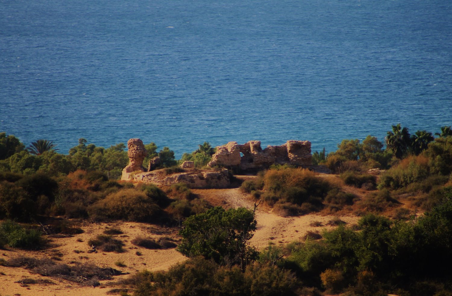 חומות תל אשקלון. צילום: ויקימדיה