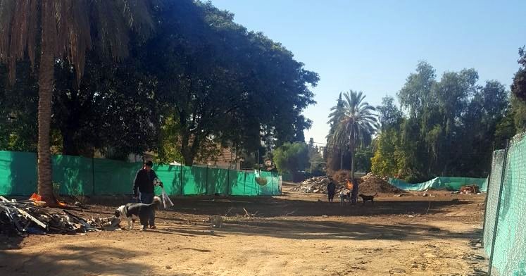 אנשים מקיפים את כל הפארק, גם קשישים. צילום: מאיר אוחיון