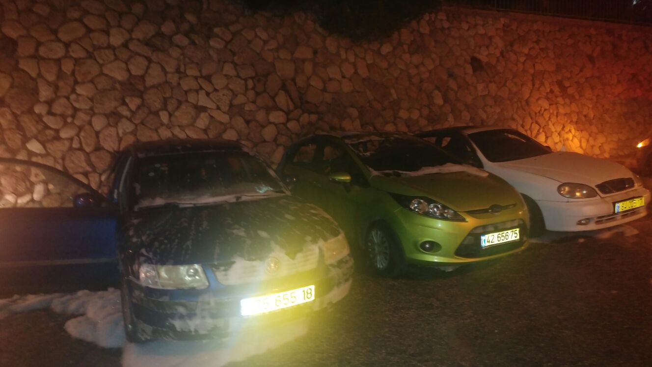 רכבים עלו באש בשכונה ד'. צילום: שרון טל