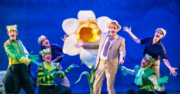 נרקיס מלך הביצה. צילום: יחצ