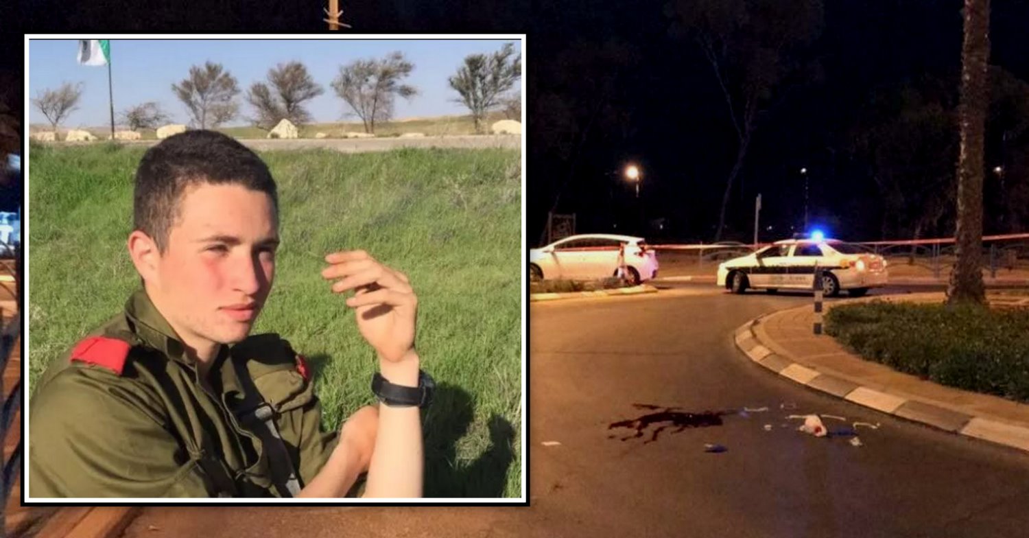 צילום: ירון רבינוביץ', עיתון הצבי