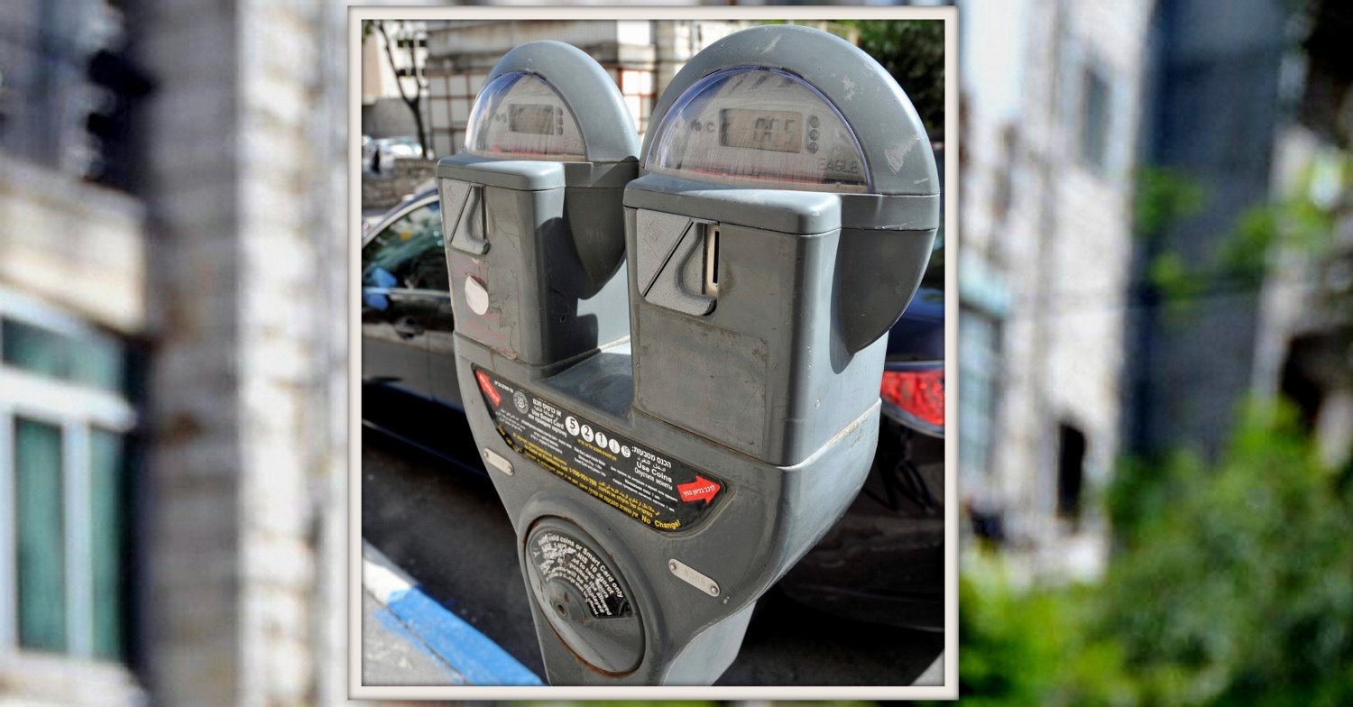 צילום: סופי גורדון, פלאש90