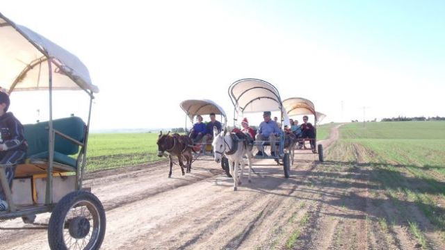 חוות פיליפ -יוחאי כורם