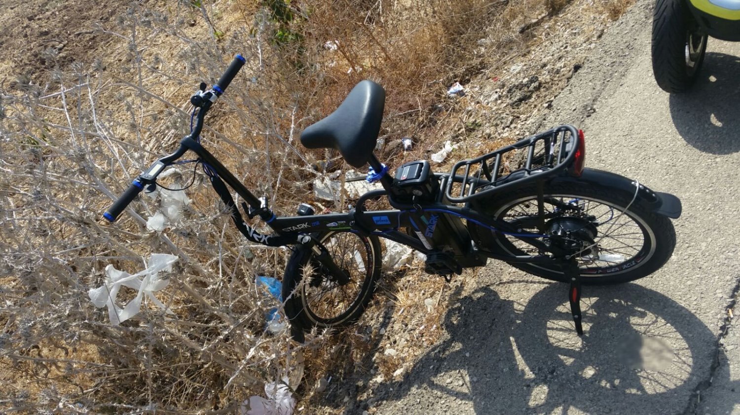 צילום: דוברות איחוד הצלה