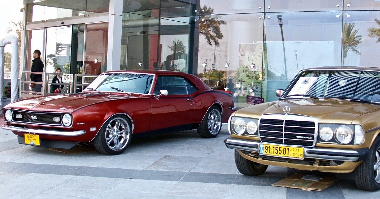 צילום באדיבות ישפרו פלאנט