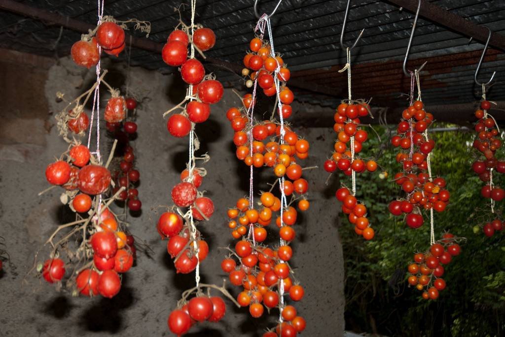 מלוא הטנא. צילום: יחצ