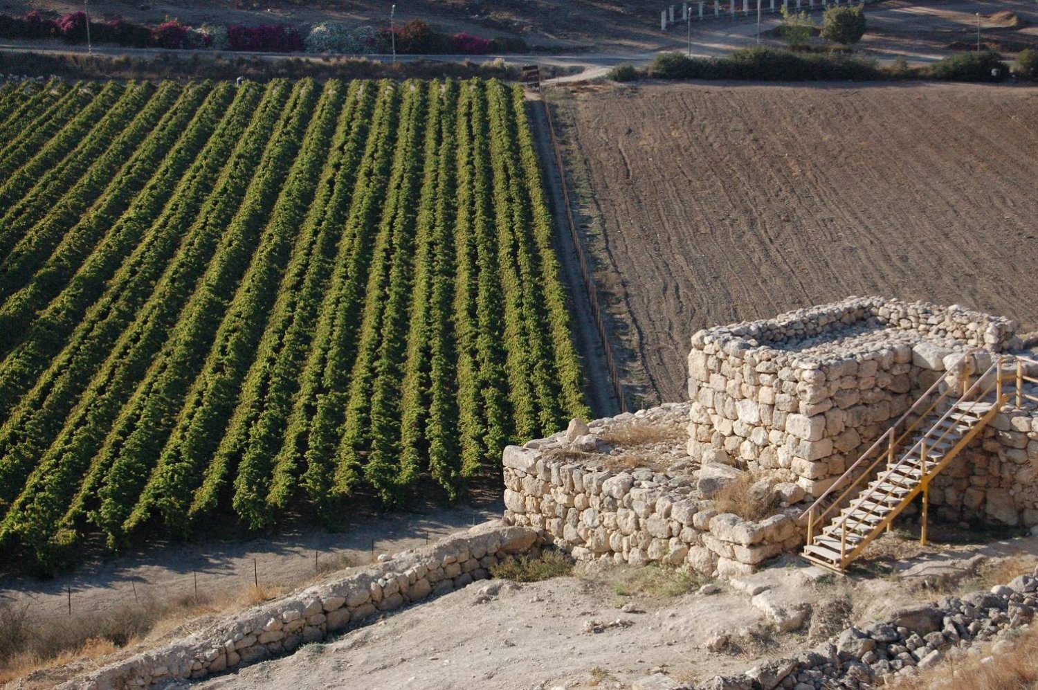 סיור בתל לכיש. צילום: יחצ