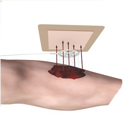 הדמיה באדיבות: יחצ