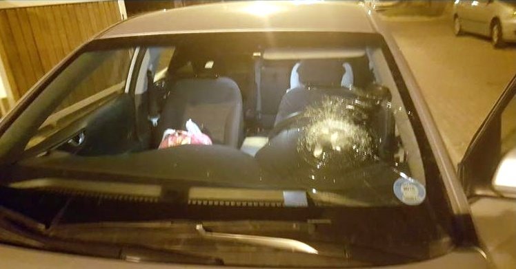 צילום ארכיון