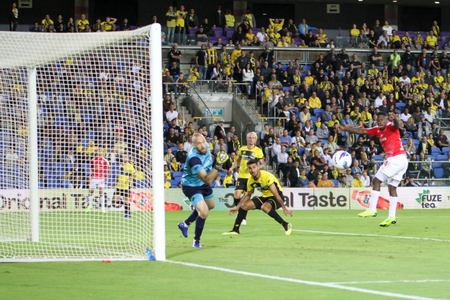 גם זה לא נכנס. צילום: זאב דיקמן