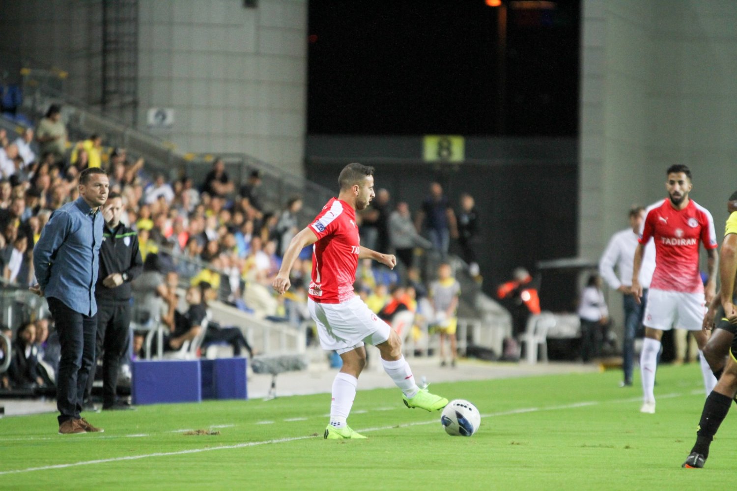 למלמד כן הלך מול האקסית, לסבע לא. צילום: זאב דיקמן