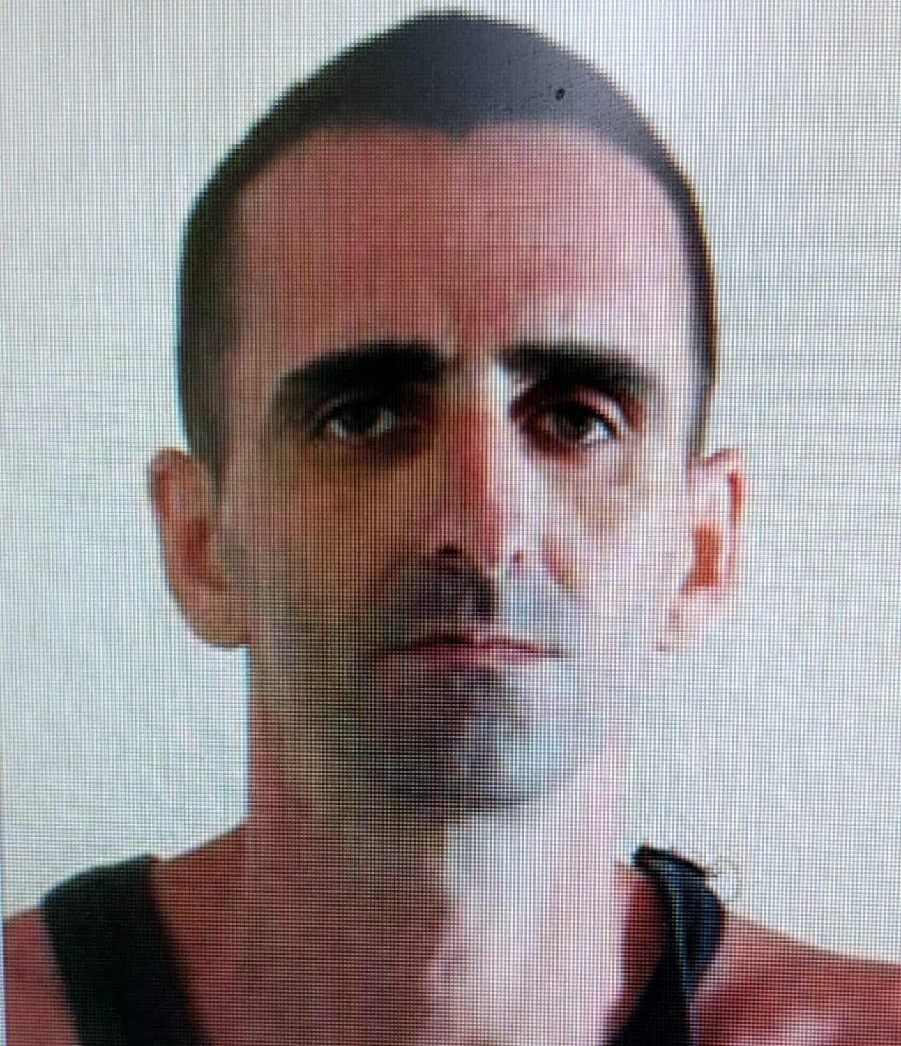 האם ראיתם את אדם?