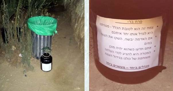 "מגדלים ביחד - מעשנים ביחד". צילום מסך