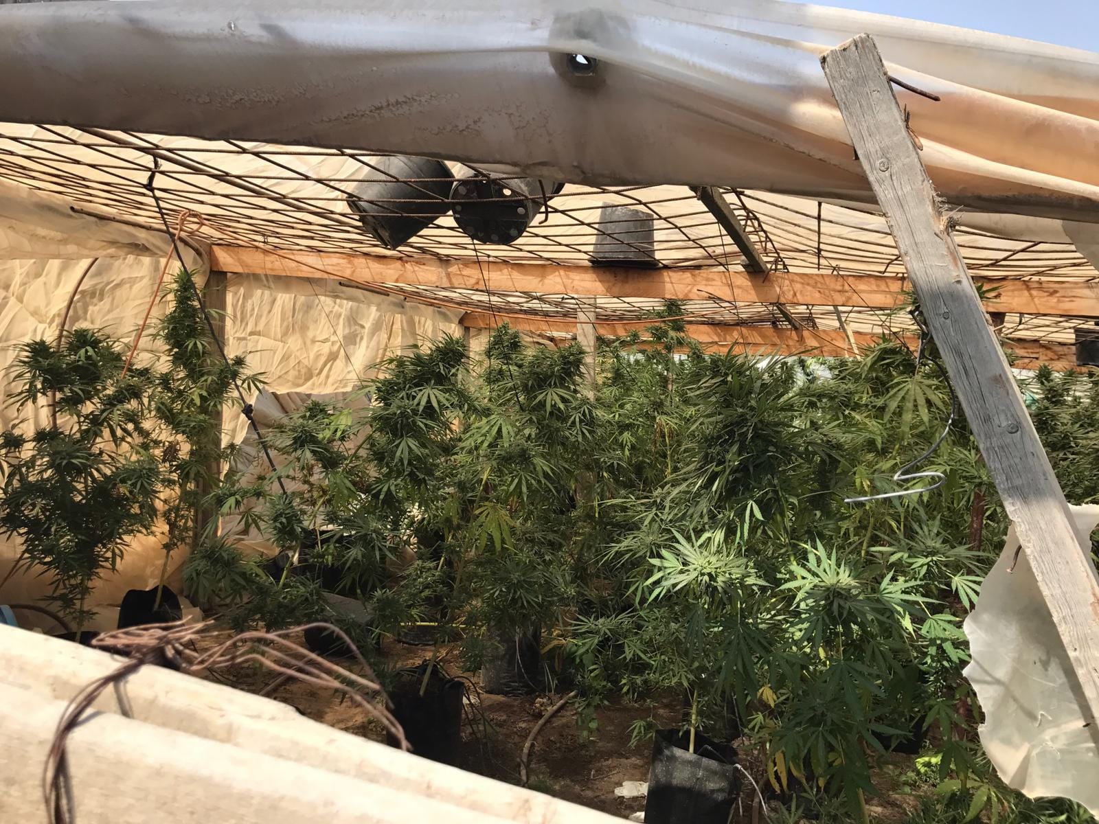 צילום באדיבות דוברות המשטרה