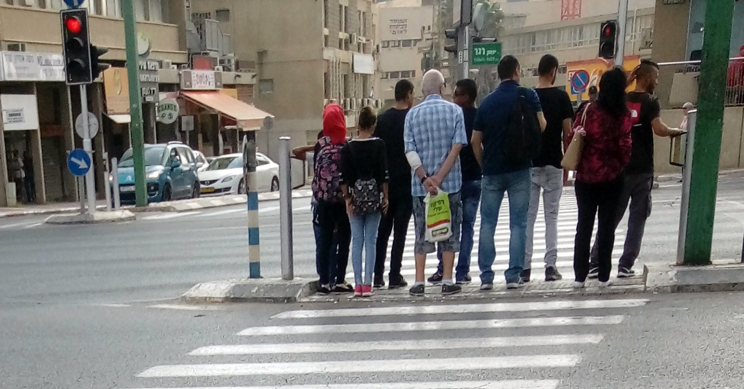 צילום באדיבות עמותת אור ירוק