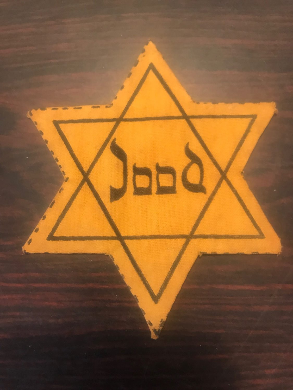 הטלאי שנגנב