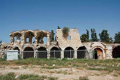 פרי טור בלוד- מאתר טיולי