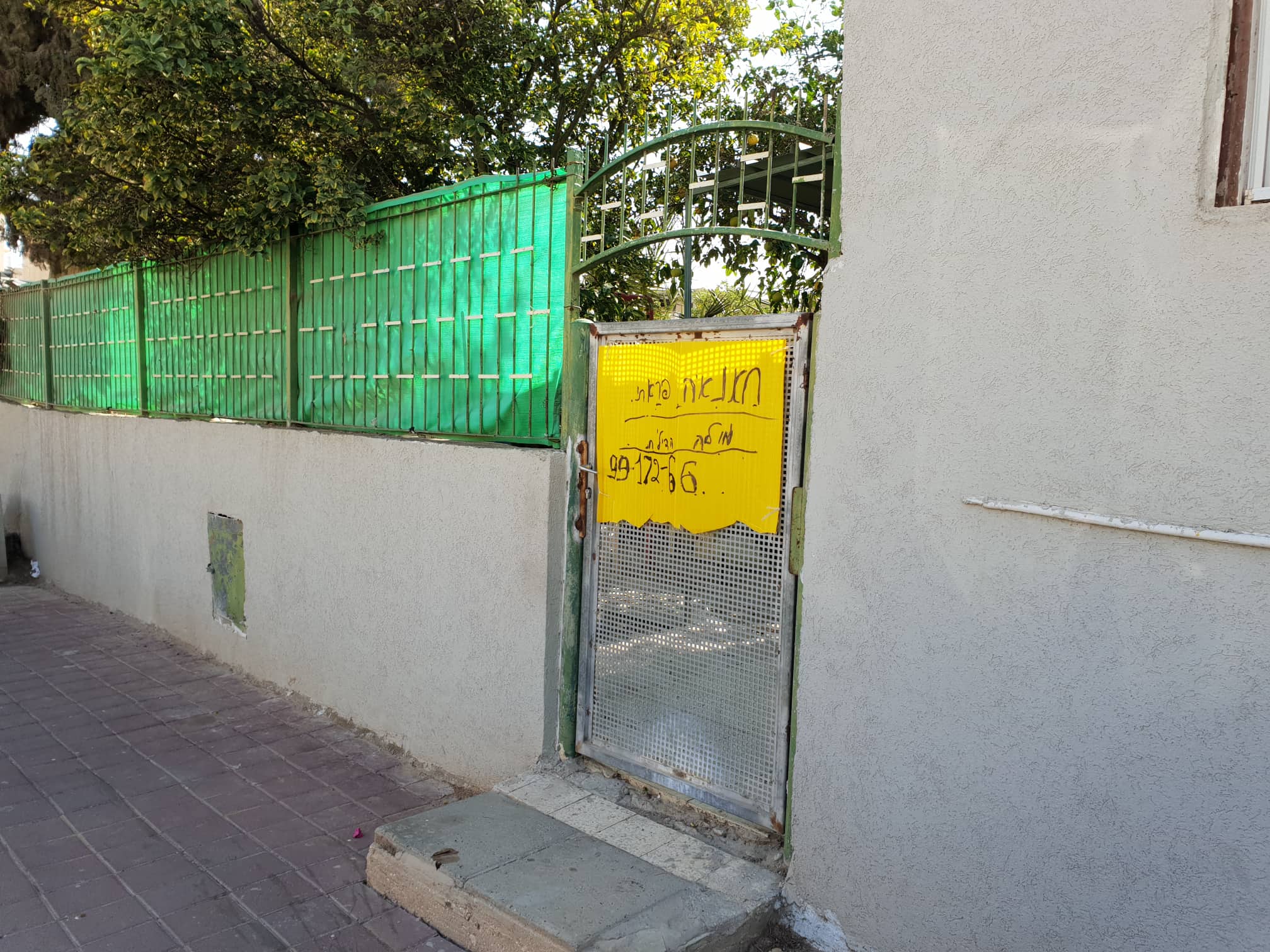 צילום: יוליה מלניק