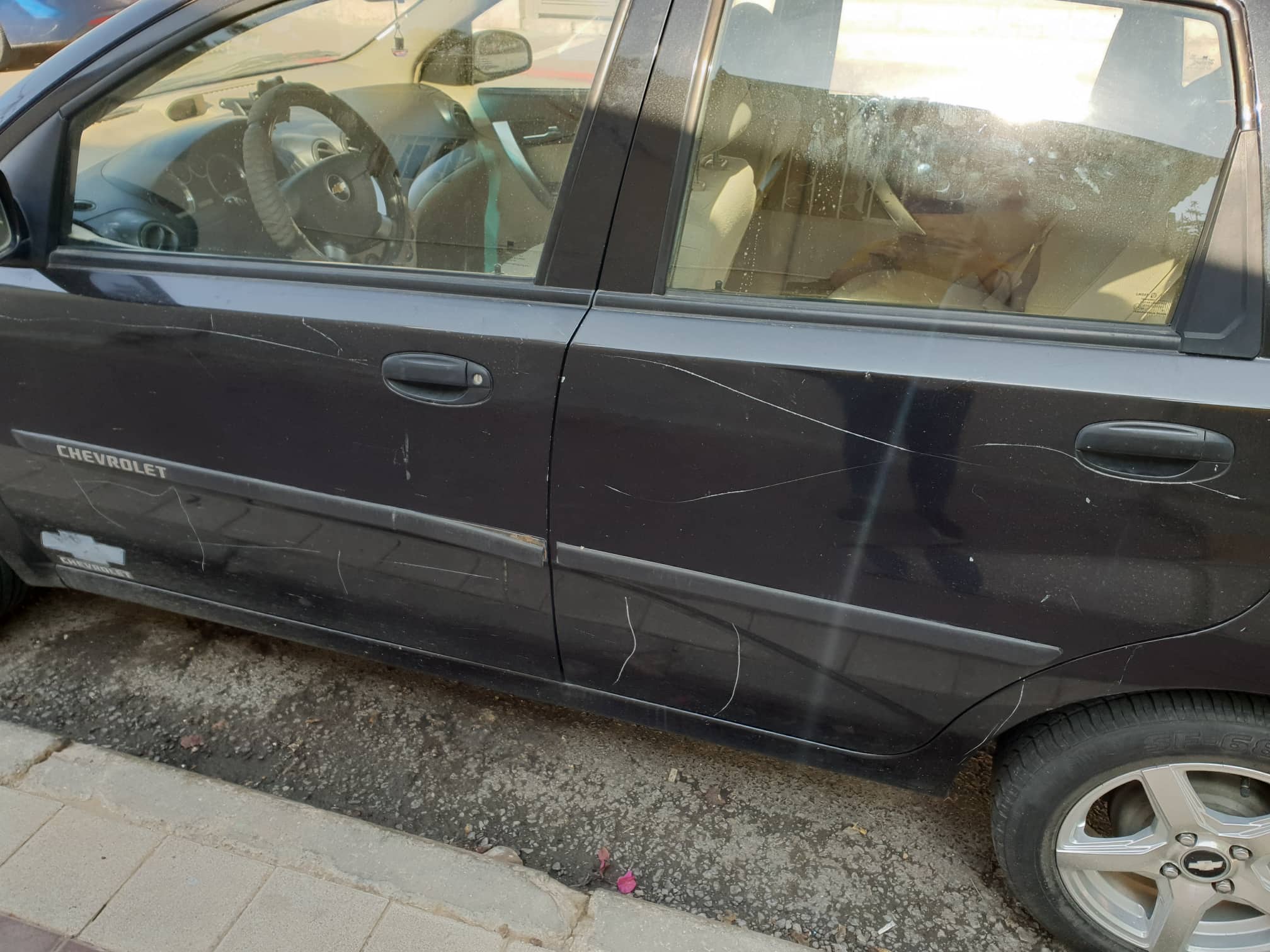 צילום: יוליה מלניק