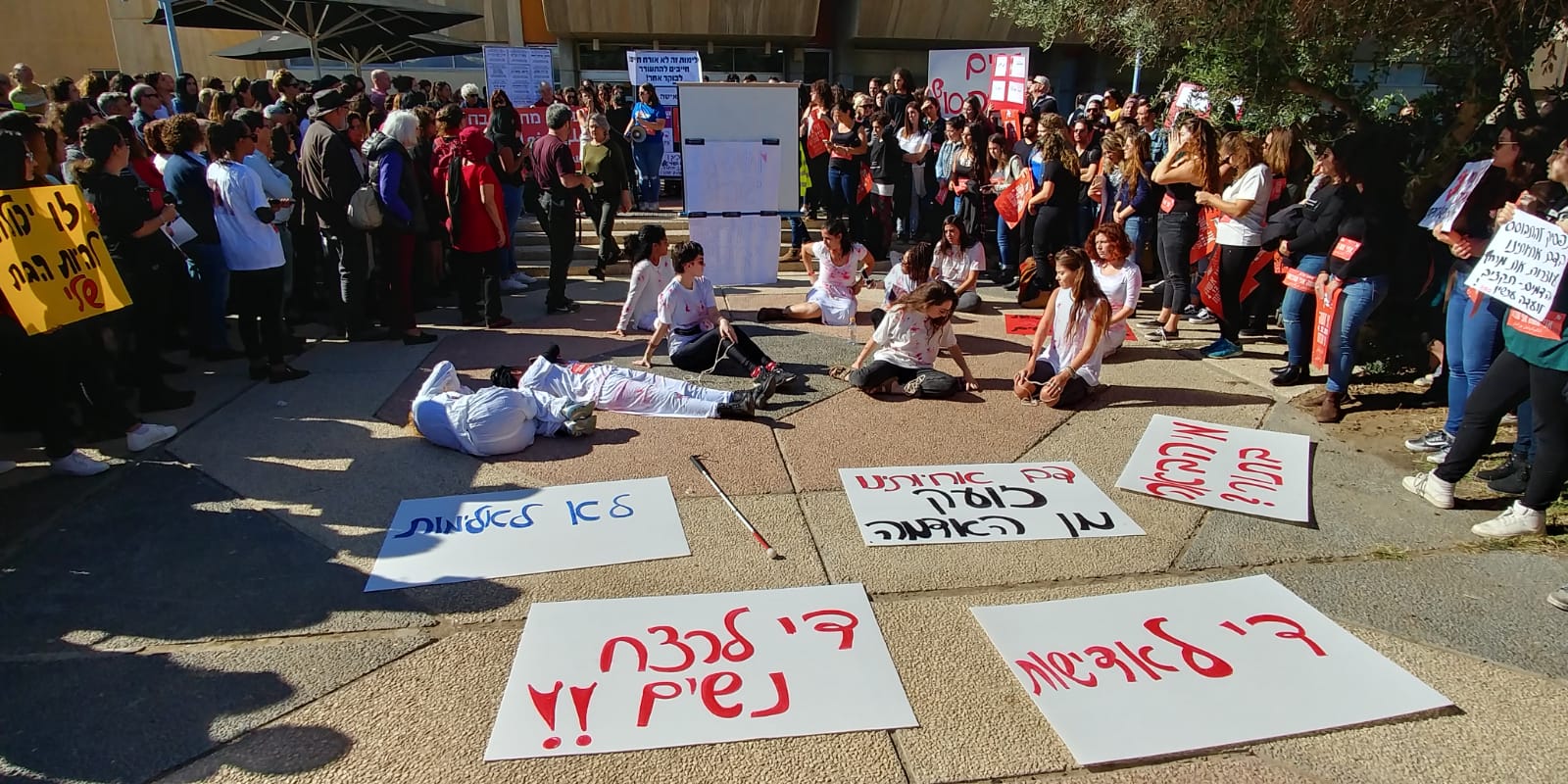 צילום: נועה גבאי