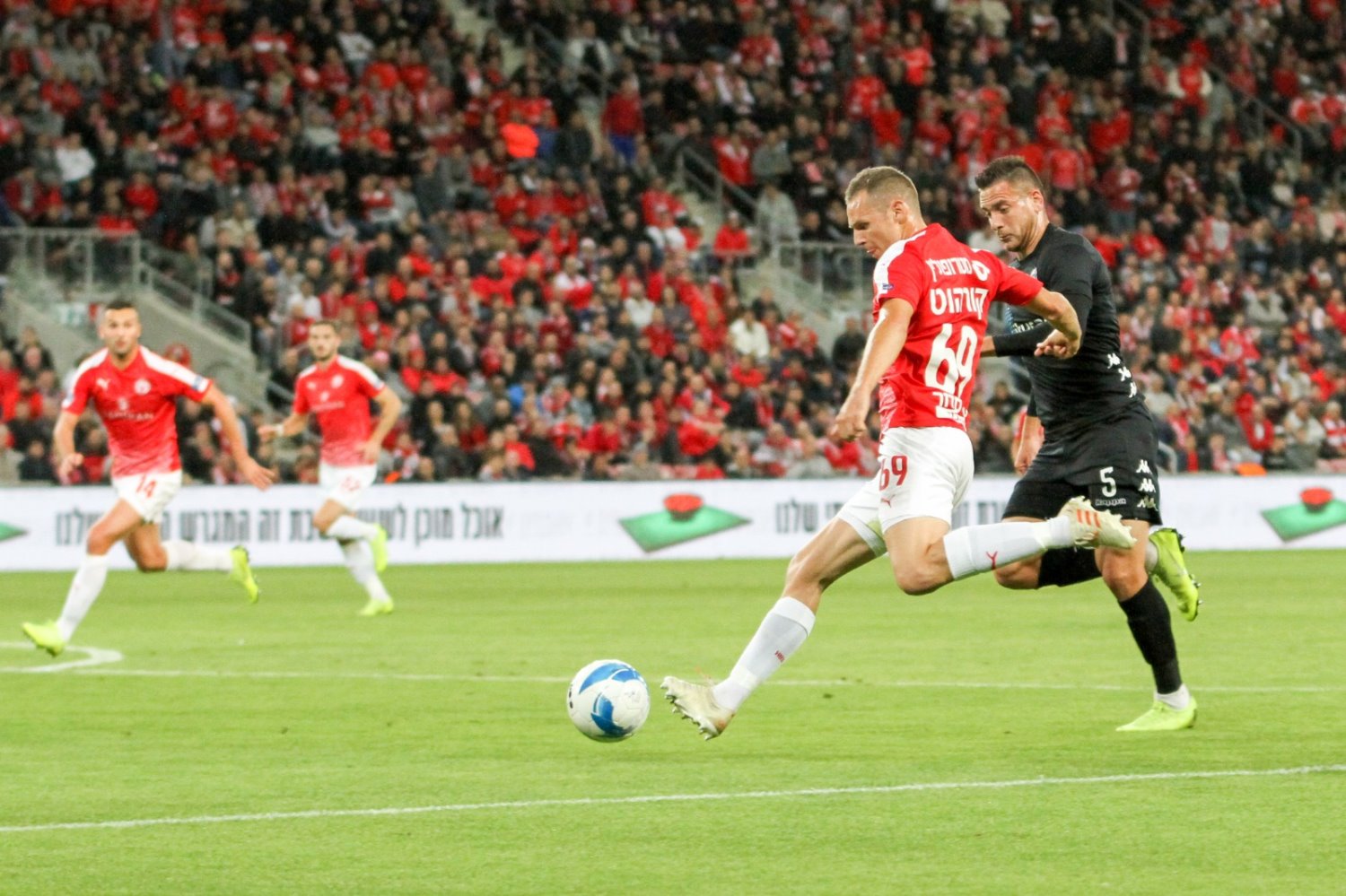 צילום: זאב דיקמן