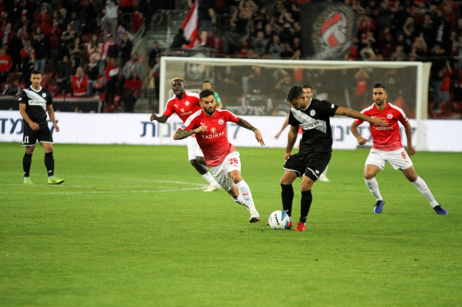 צילום: זאב דיקמן