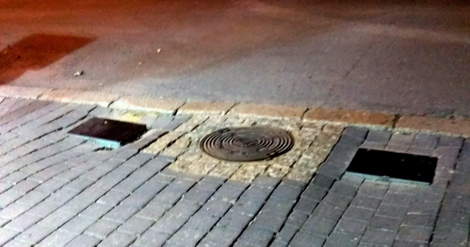 צילום: יהלי אוזן