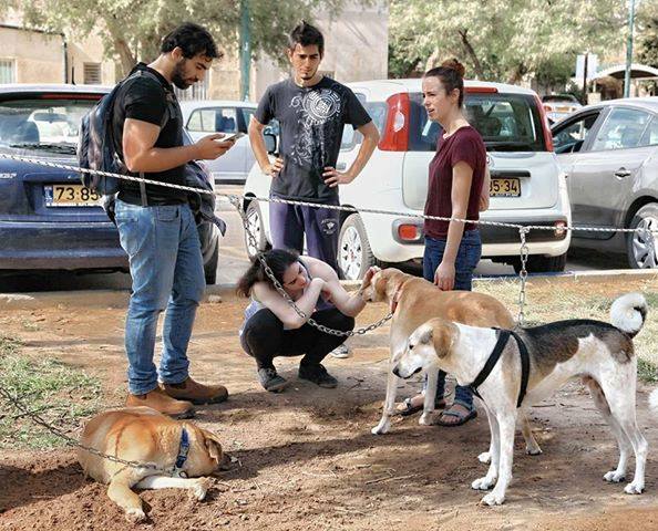 העמותה מקיימת ימי אימוץ אחת לשבועיים