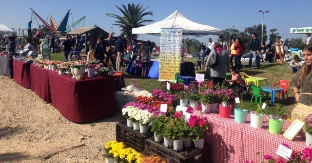שוק כפרי- אמצע הדרך