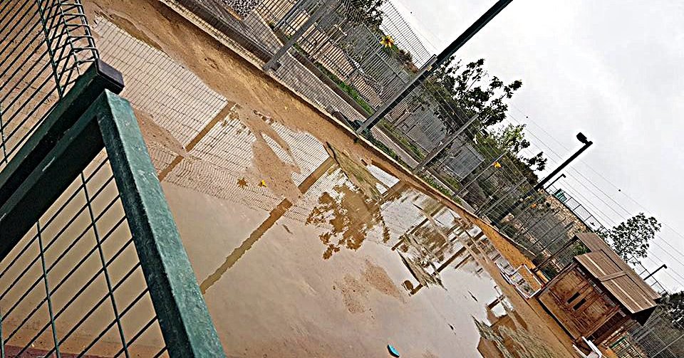 (צילום פרטי)