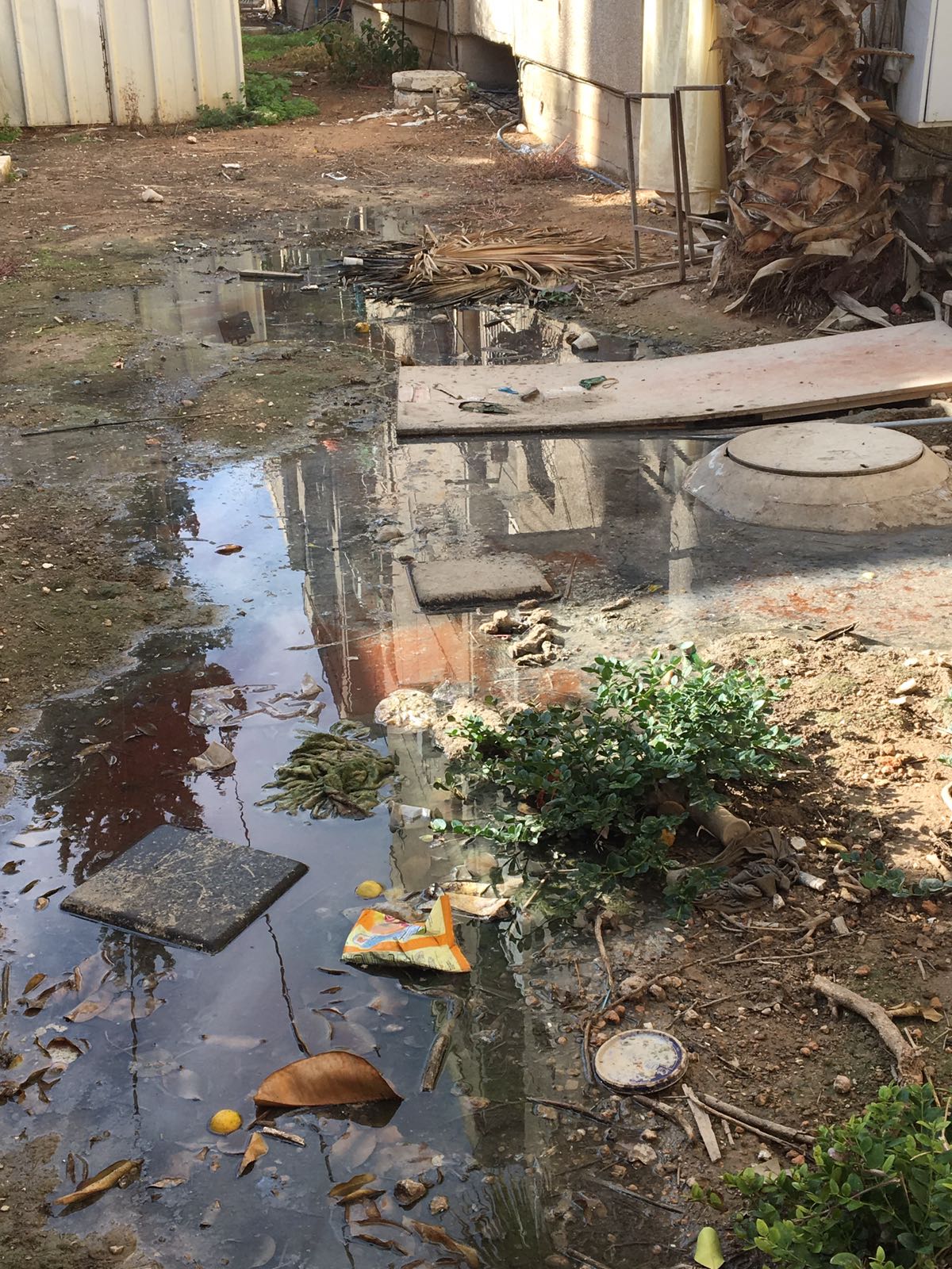 "מה שהולך פה זה זוהמה"