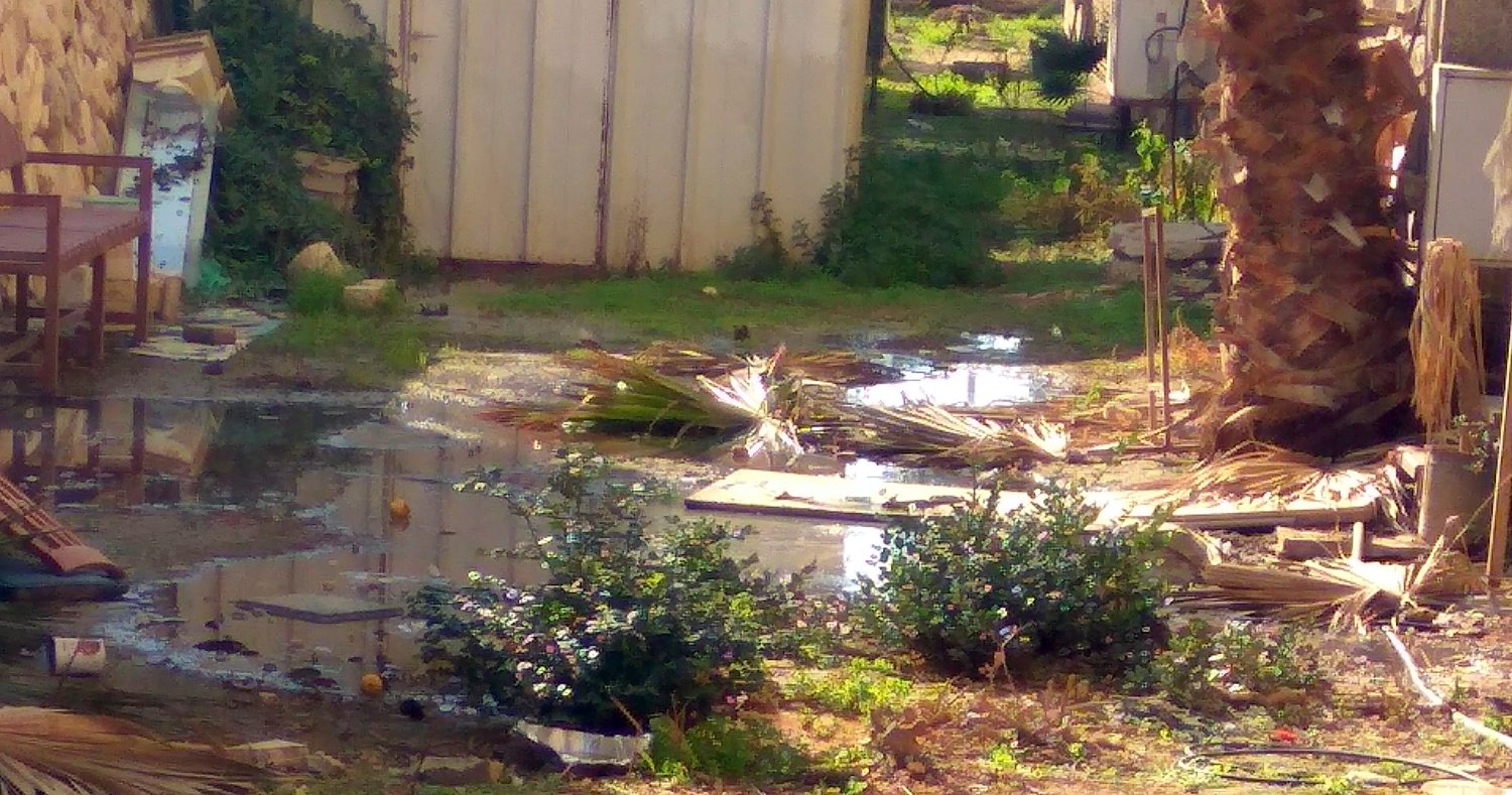 מי מתכוון לקחת אחריות על המצב?