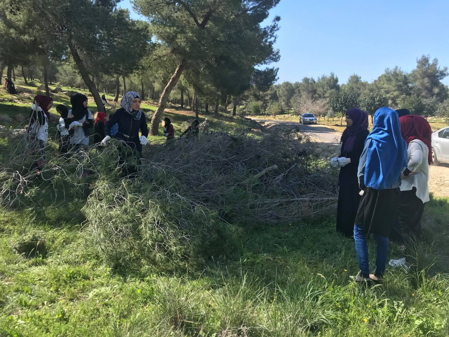 תלמידי אל קסום בעבודות ביער. צילום: אורנית גינת קקל
