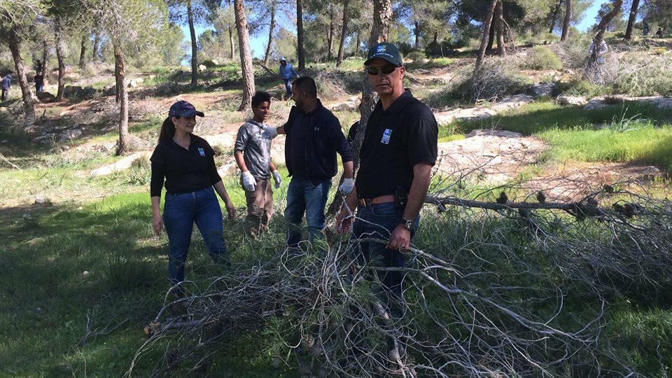 תלמידי אל קסום בעבודות ביער. צילום: אורנית גינת קקל