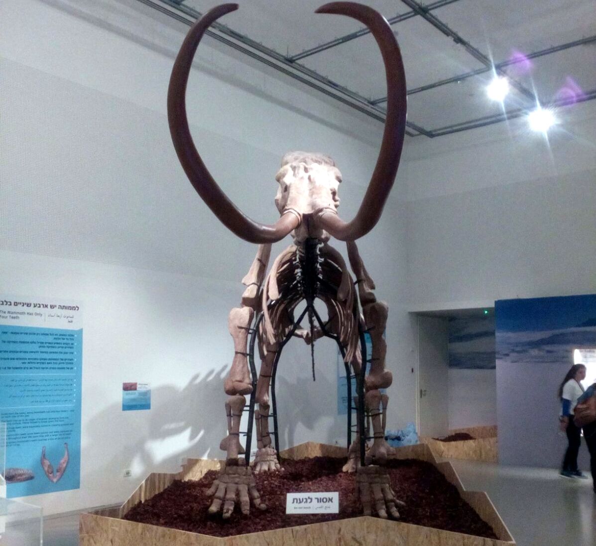 תערוכה מעניינת לכל המשפחה