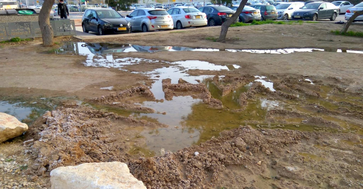 "השכנים מתלוננים כל הזמן". צילום פרטי