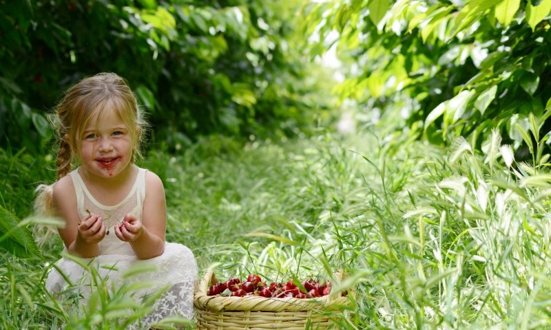 חבל יתיר- מאתר goyatir