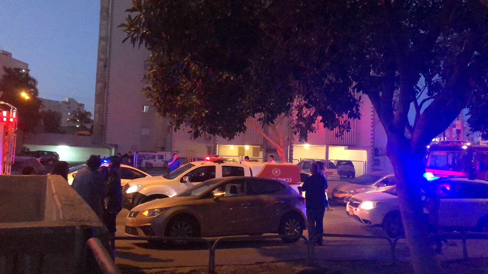 צילום: אביחי לוי