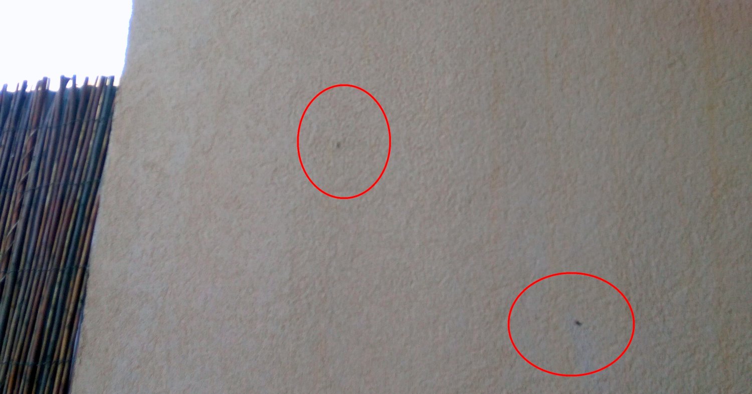 שגרת חייהם של תושבי נווה נוי