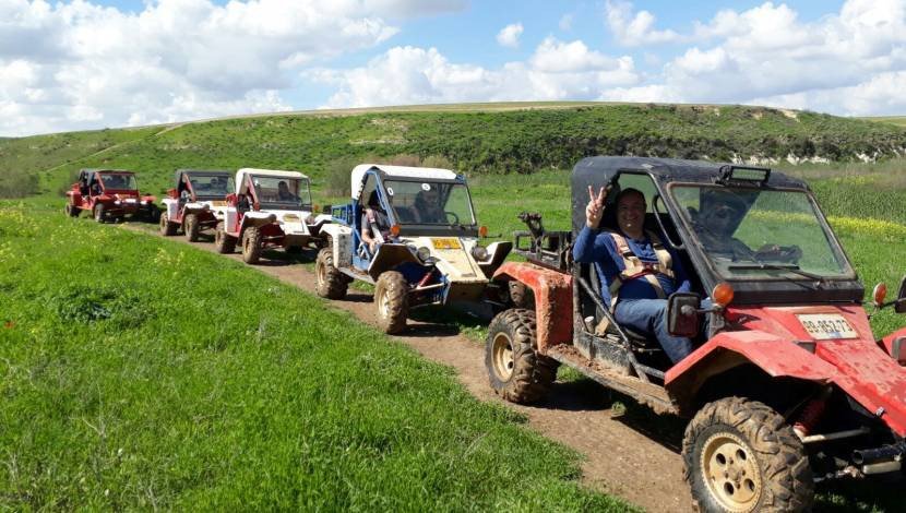 צילום באדיבות חוות פילים