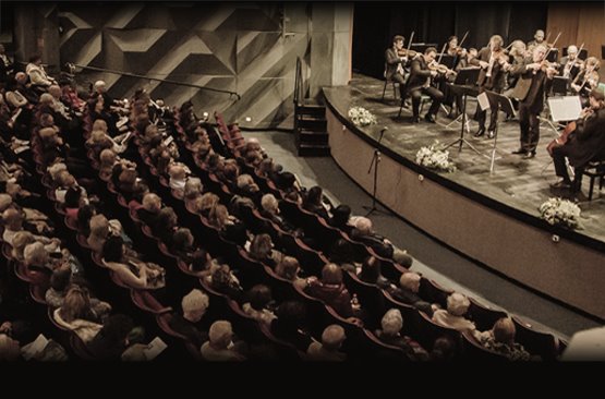 צילום ארכיון