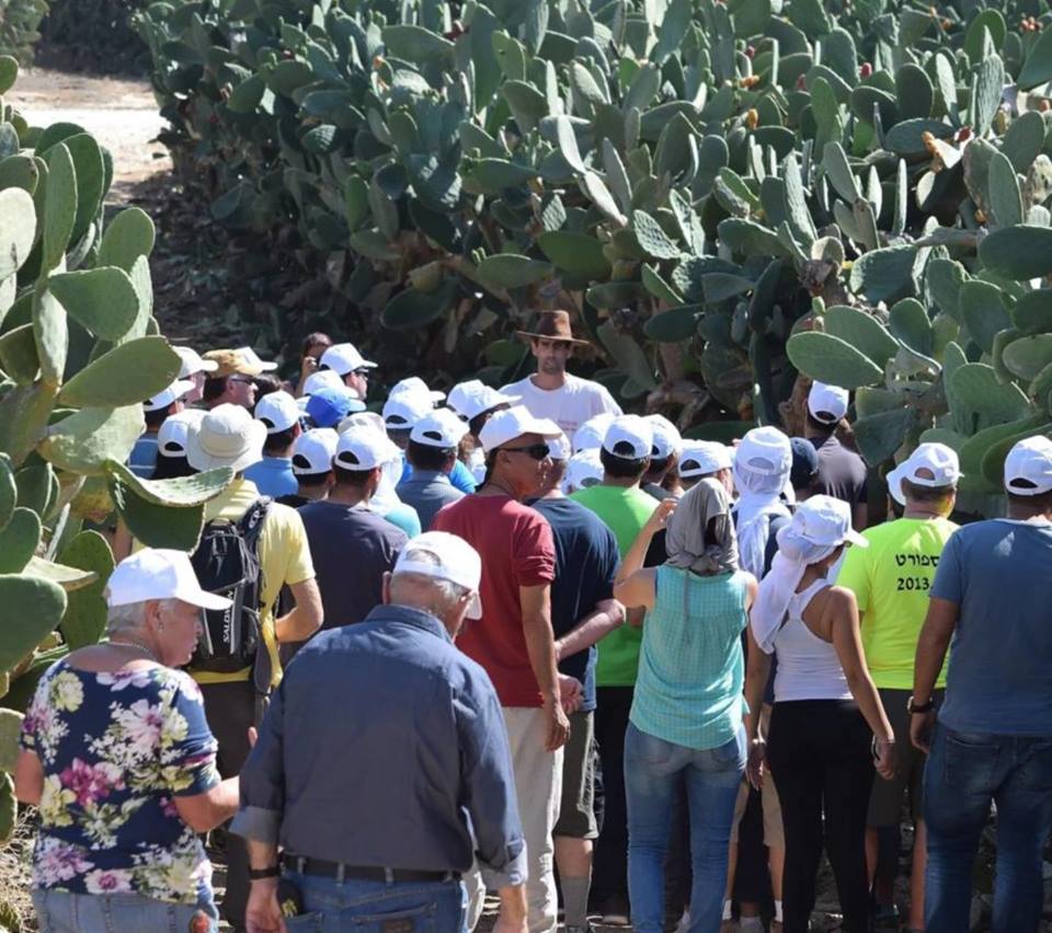 חוות צברי אורלי- פייסבוק