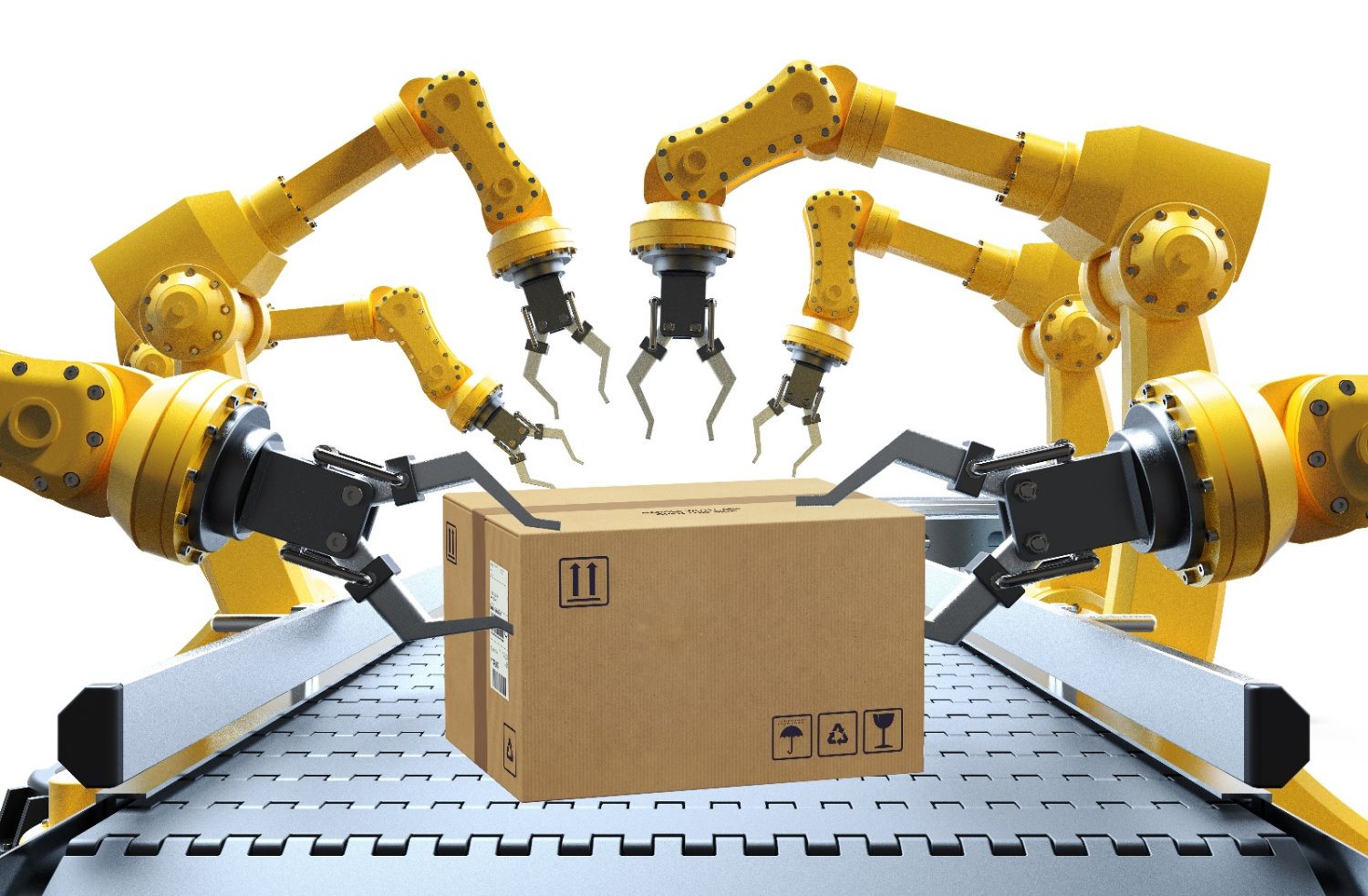 קרדיט: 3 זברות