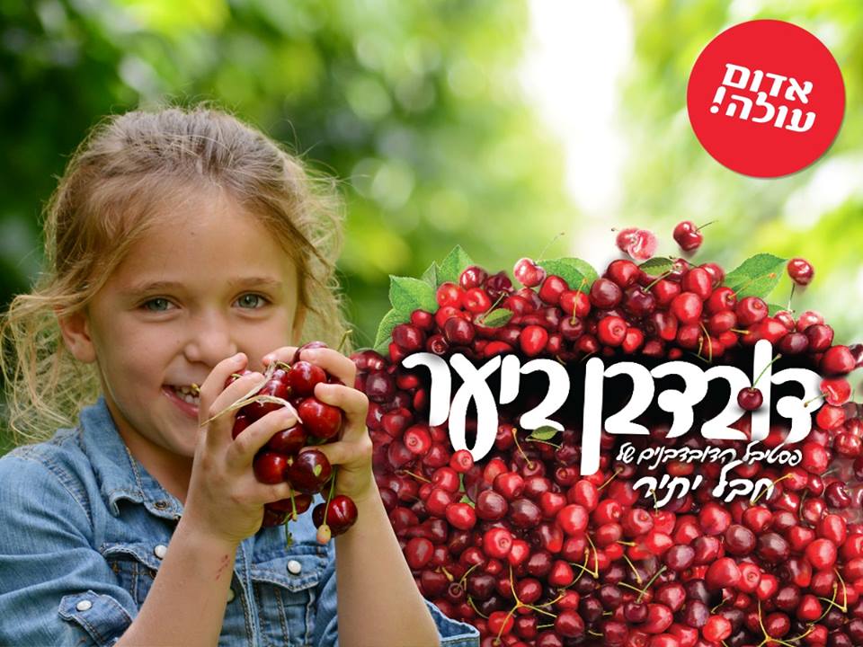 פסטיבל הדובדבנים של חבל יתיר