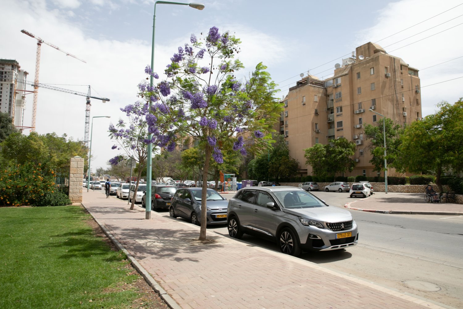 צילום באדיבות עיריית באר-שבע