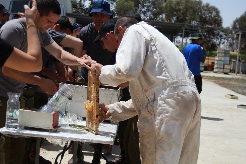 מכוורת מרדכי גולן